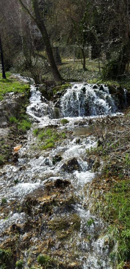 Vila Camelia Golubac Eksteriør bilde